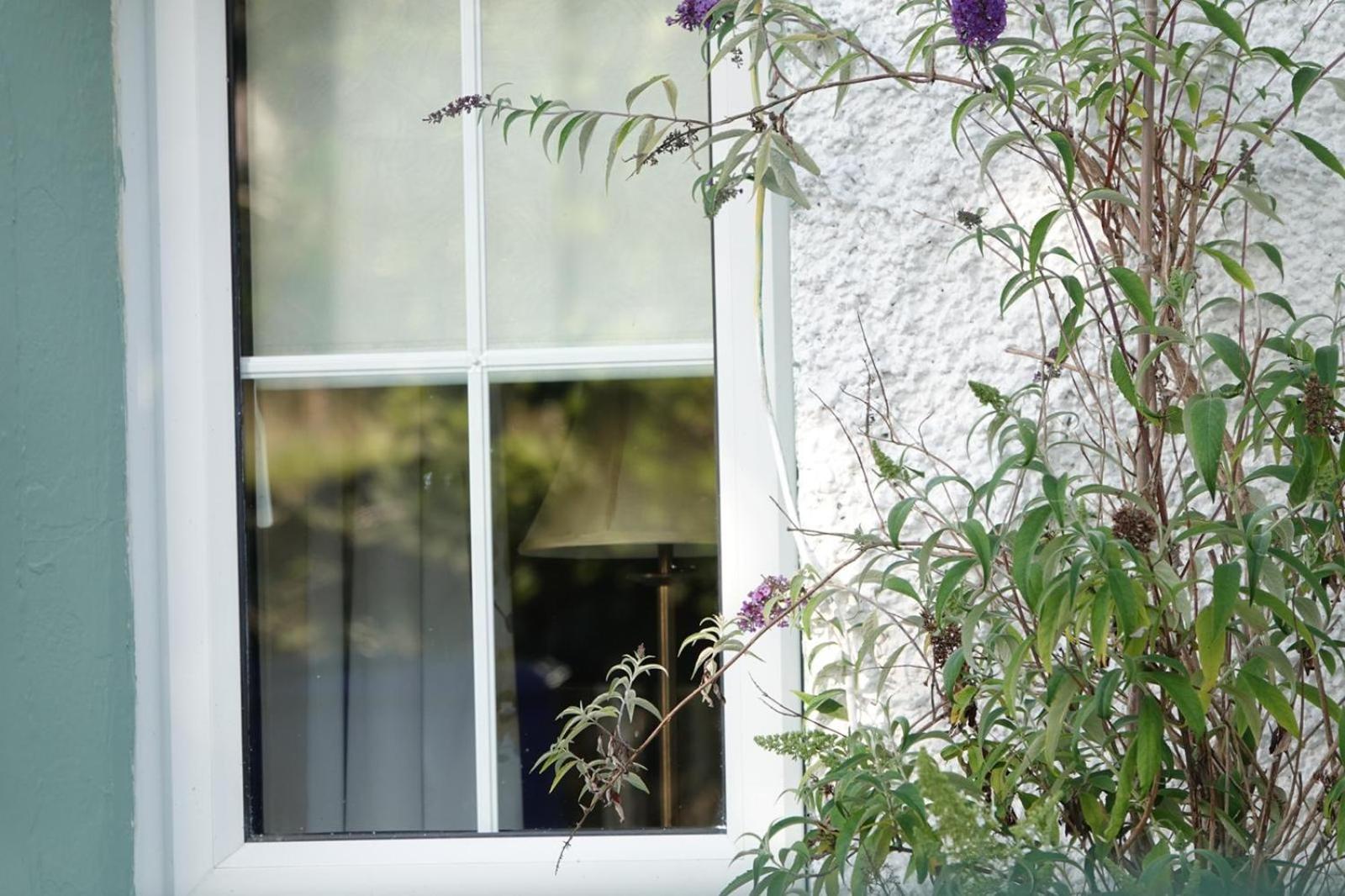 Clover Cottage Sligo Exterior photo